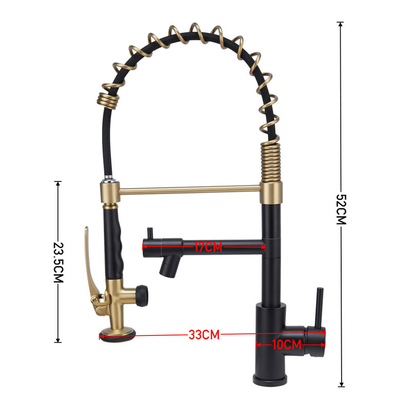 Belfry Kitchen Burhill Pull Out Kitchen Faucet, Black/Gold