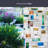Horizon Window Film 24" x 36"
