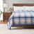 Blue Check Plaid