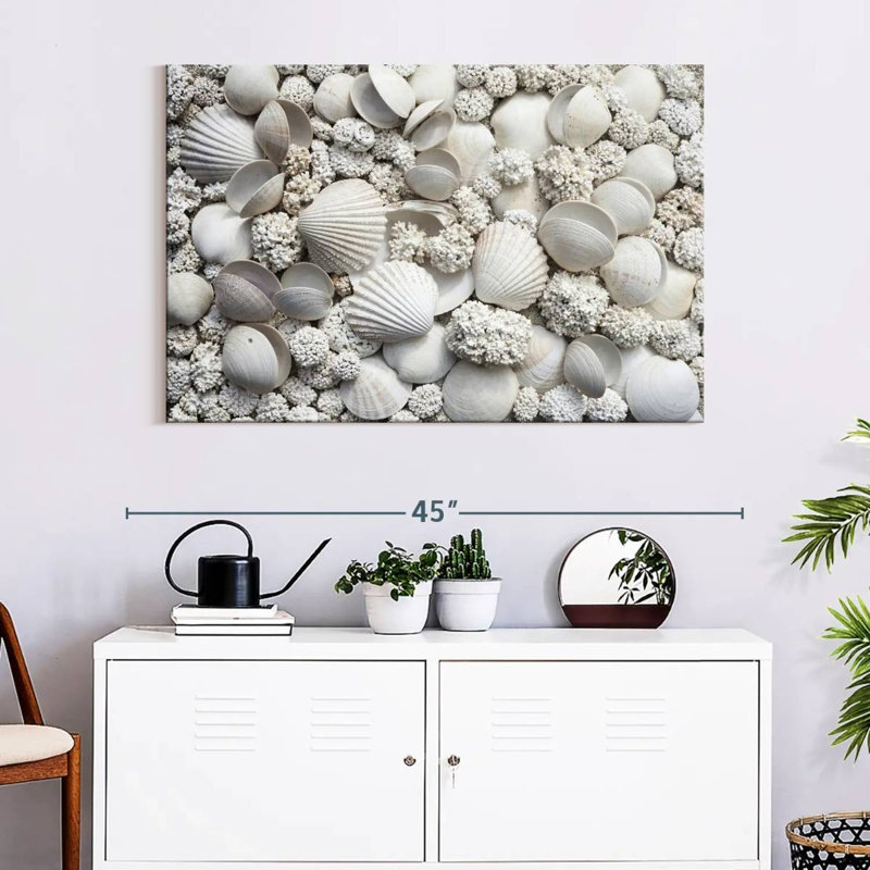 Aletra White Seashells