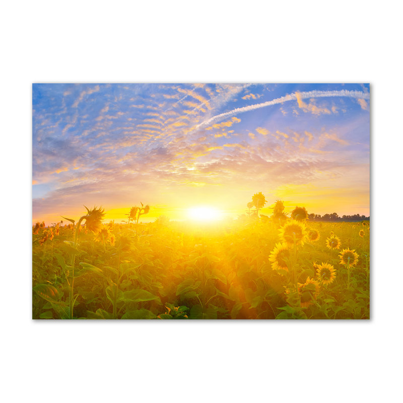 Field Of Sunflowers - Wrapped Canvas Print