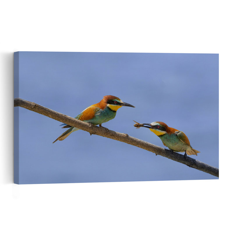 Colorful Bee-Eaters Feeding Colorful Vibrant Abstract Bee Bird Nature Summer Wall Art Print 1 Piece Wrapped Canvas Wall Art