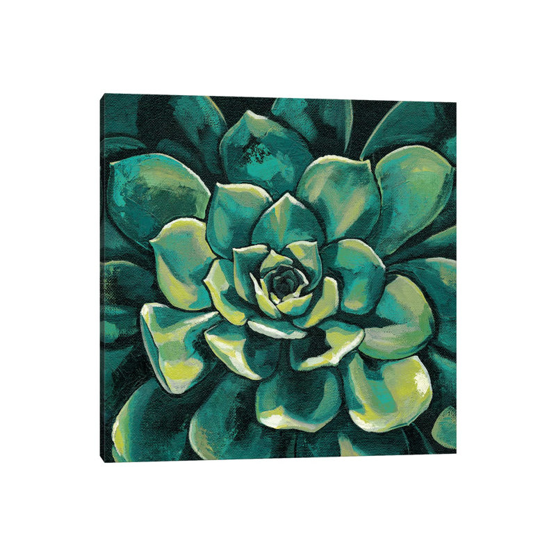 Succulent Bloom I by Megan Meagher - Wrapped Canvas Print, 93.98 cm H x 93.98 cm W x 3.175 cm D