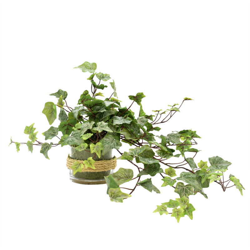 Polysilk Ivy Arrangement in Vase
