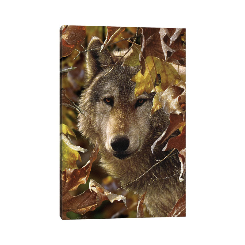 Autumn Shadows by Collin Bogle - Print on Canvas, 20.32 cm H x 30.48 cm W, Wrapped Canvas