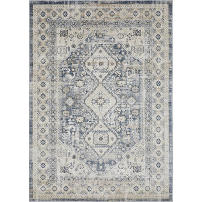 Aldolivio Oriental Indoor Rug