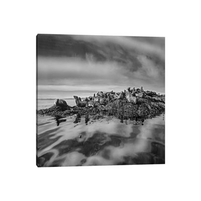 Steller's Sea Lions, Alaska 1 Piece Wall Art on Canvas