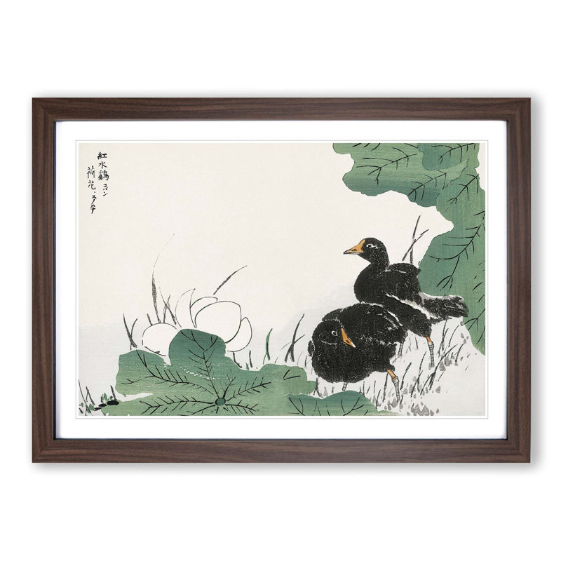 Coot Bird & Lotus Flower by Numata Kashu - Picture Frame Painting Print on MDF, 62cm H x 87cm W x 2cm D, Walnut Framed