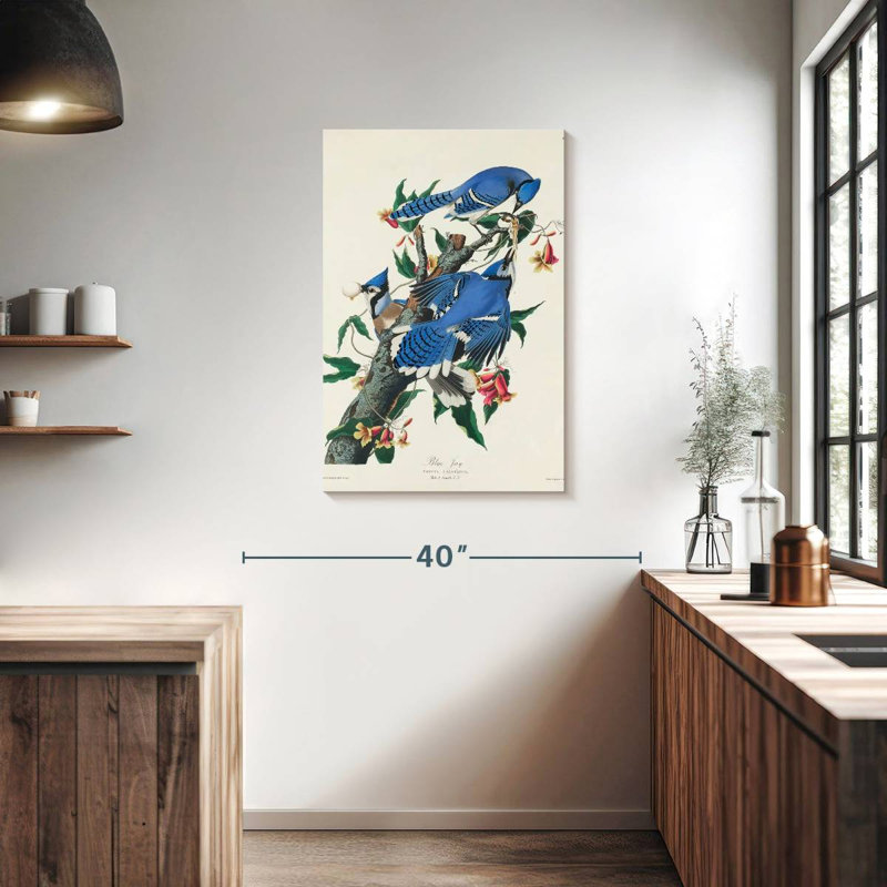 Brampt Blue Jay, 36" H x 24" W