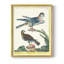 «Pastel Birds III», reproduction encadrée - bois massif-1643792258