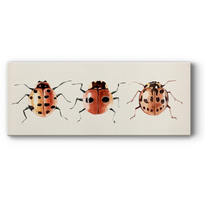 " Ladybug Display II "