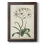 Toile encadrée de qualité supérieure Ivory Garden V - prête à être accrochée-2075508968