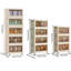 Armoire de rangement 19,69 po