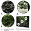 Blendi " Green Forest Mystical Shadows "-684909760-684909771