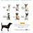 Pet Bed Elevated Dog Bed Outdoor Dog Cot