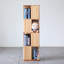 Bibliothèque rotative Burlywood-117789116