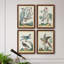 «Pastel Birds I», toile encadrée de qualité supérieure - prête à être accrochée-794121034-794121043