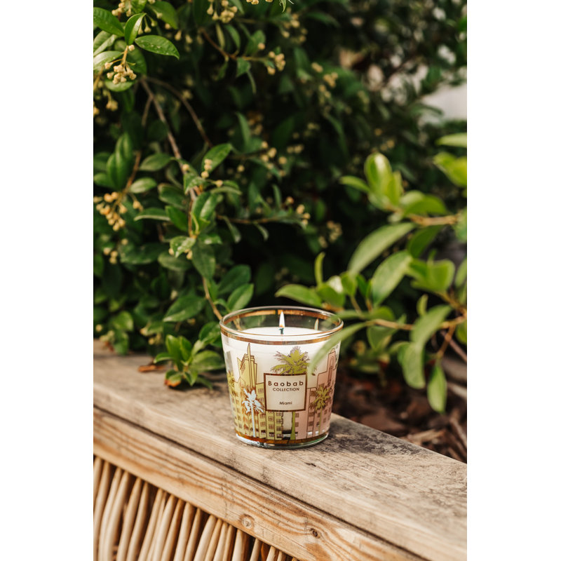 My First Baobab Candle Max08