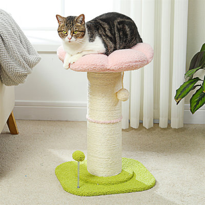Cat Scratching Post With Spring Loaded Ball