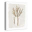 Impression sur toile rayée Pampas Jug-97917215