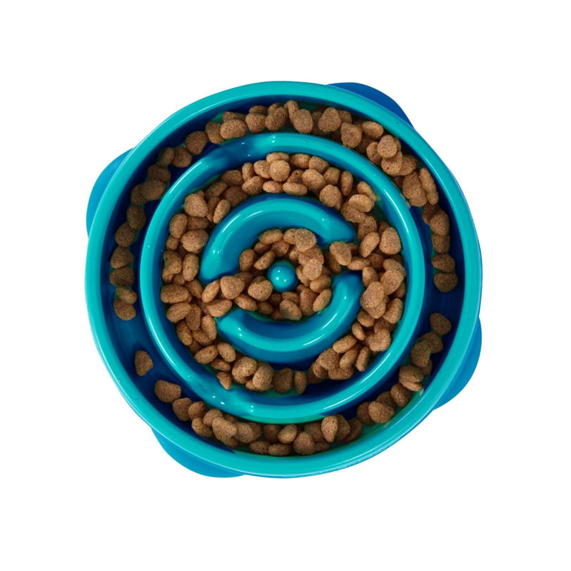 Slow Feeder, Turquoise