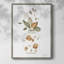 «Neutral Floral I», reproduction encadrée - bois massif 49555-1194925051