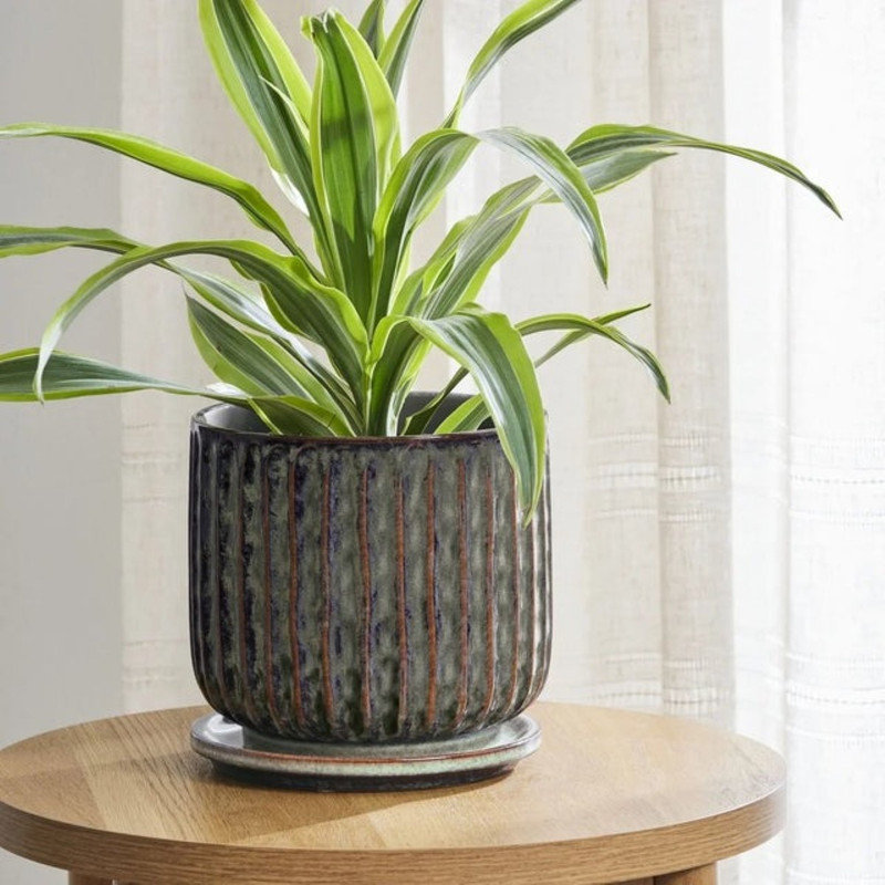 Pot à fleurs en céramique 8 pouces avec trous de drainage pour soucoupe moderne taupe