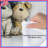 Three Puppies Christmas Tree Comforter-125272990