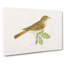 Thrush Nightingale Bird by Von Wright - Wrapped Canvas-55361674