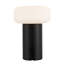 Lampe portable d'extérieur à DEL 8 po Shilo-368223396