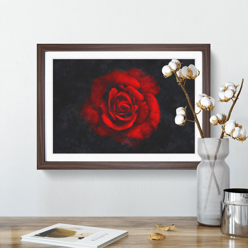 Red Rose in the Shadows - Framed Print, 33cm H x 45cm W x 2cm D, Walnut Framed