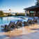 Dahlyla Outdoor Wicker All Weather Chaise Reclining Lounges with Cushions (Set of 4)