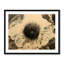 FLOWER Print by Will Birdwell-65849510-132457187