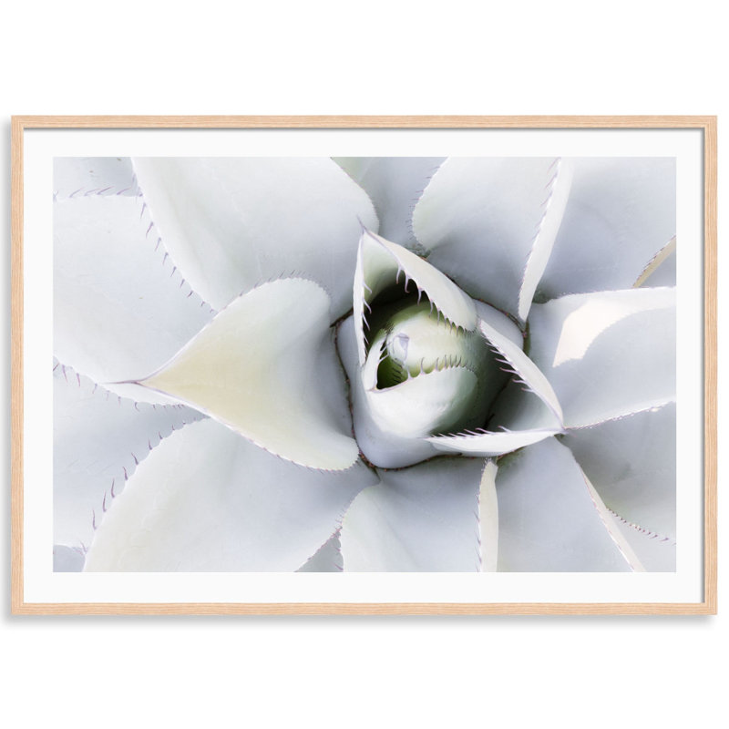 Succulent Print by Carly Tabak, 25" W x 18" H, Natural Wood