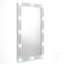 Hashum Flat Wall Mirror