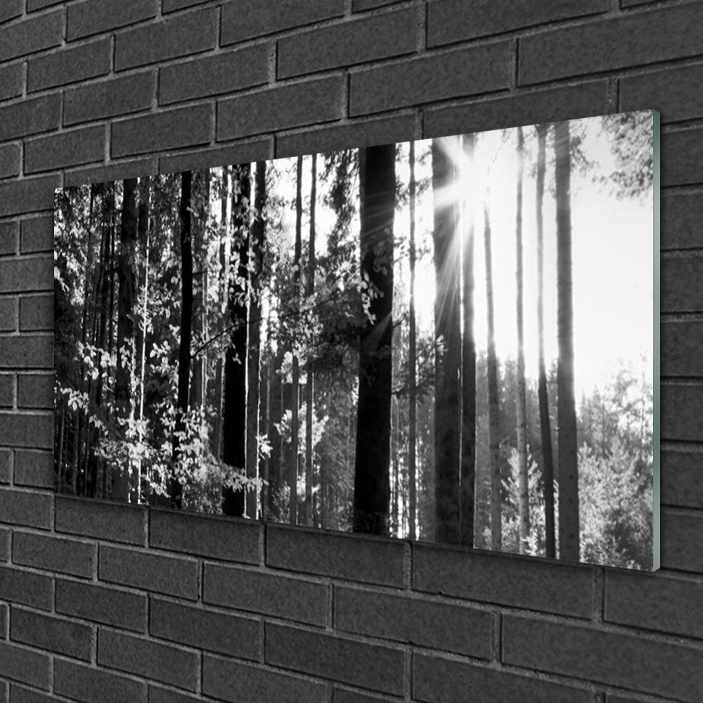 Glasbild Forest Nature