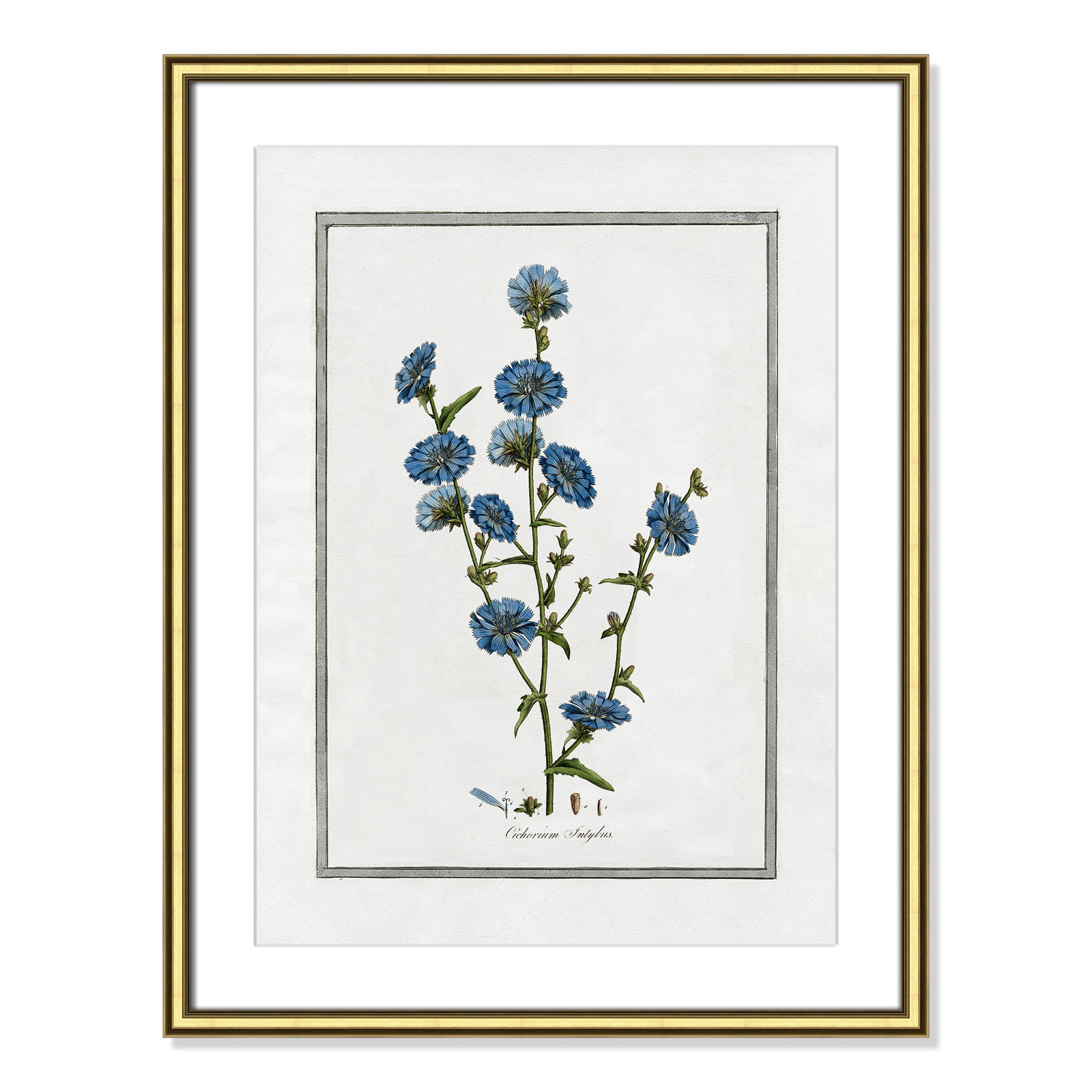 Colombe "Soft Botanical I" Print, Gold Framed, 18.25" W x 24.25" H
