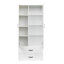 Ashonda 182cm H x 59.5cm W Standard Bookcase