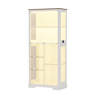 Wrought Studio™ Modern Led Display Cabinet With Glass Doors, Adjustable ...