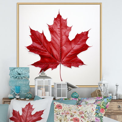 Scarlet Maple Leaf Simplicity I