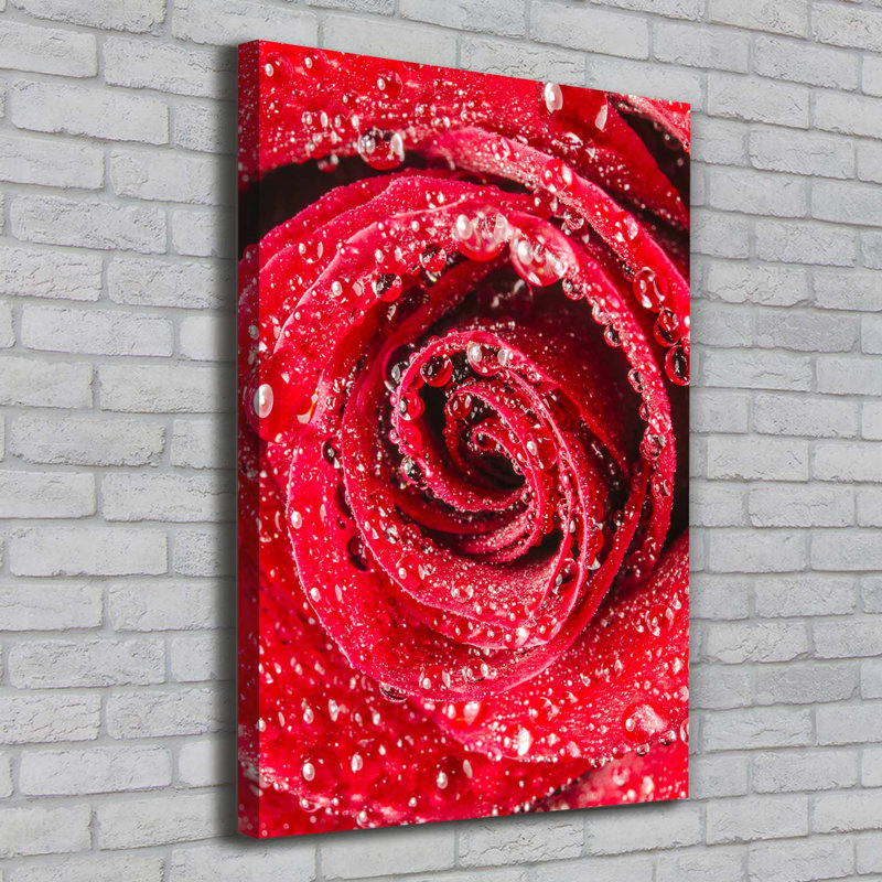Red Rose - Wrapped Canvas Print