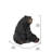 Black Bear Sitting