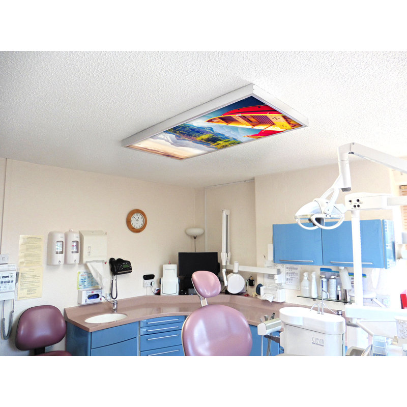 Housses pour lampes de plafond Landscape Classroom Fluorescent - pour luminaire 2x4 - par Octo Lights
