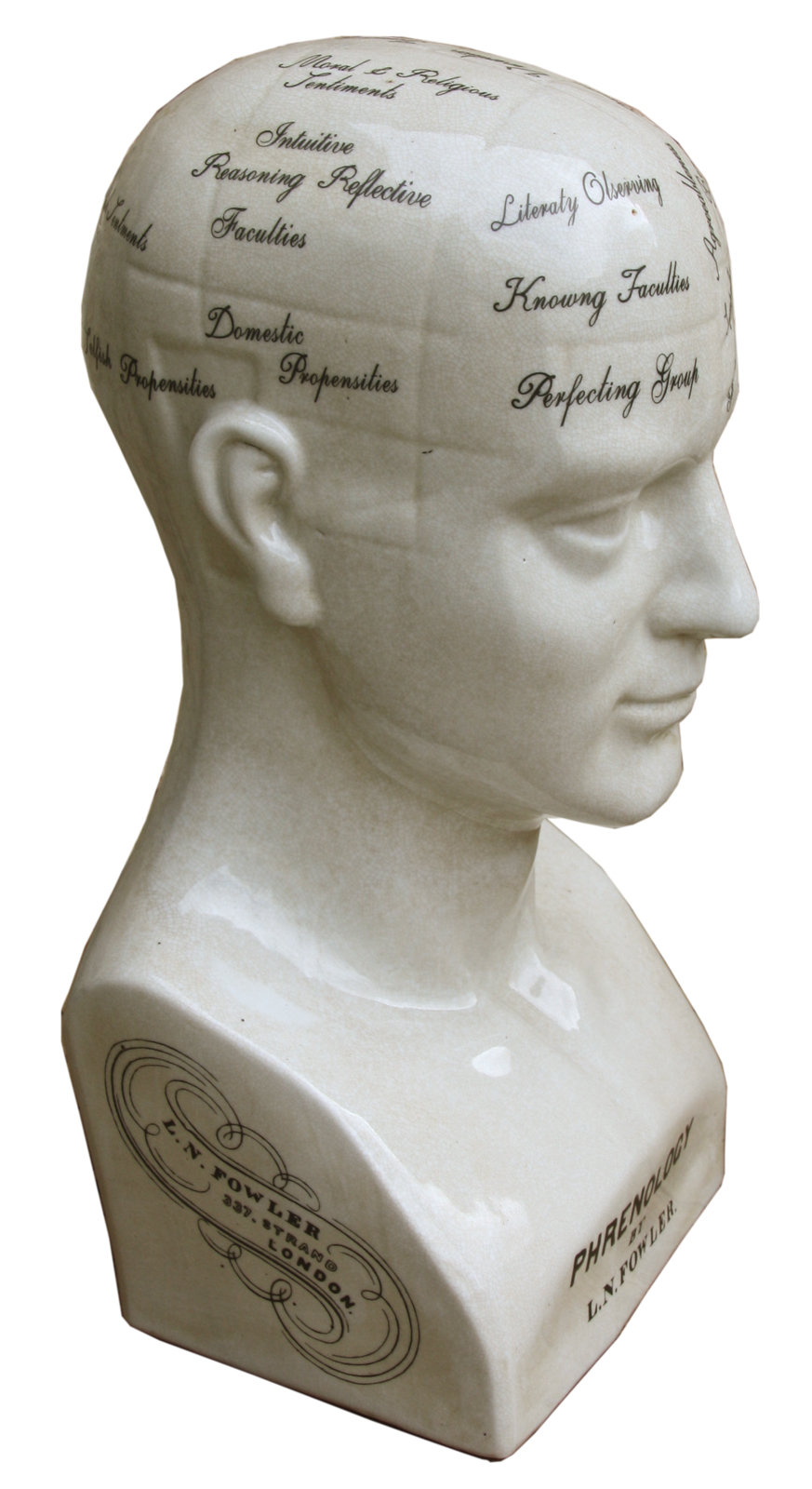 Castleton Home Large Distressed Glazed Ceramic Phrenology Head Bust