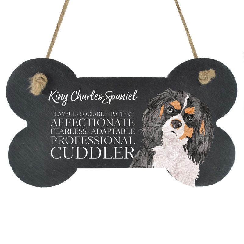 Vivid Squid Wholesale Animals Box Signs & Plaques