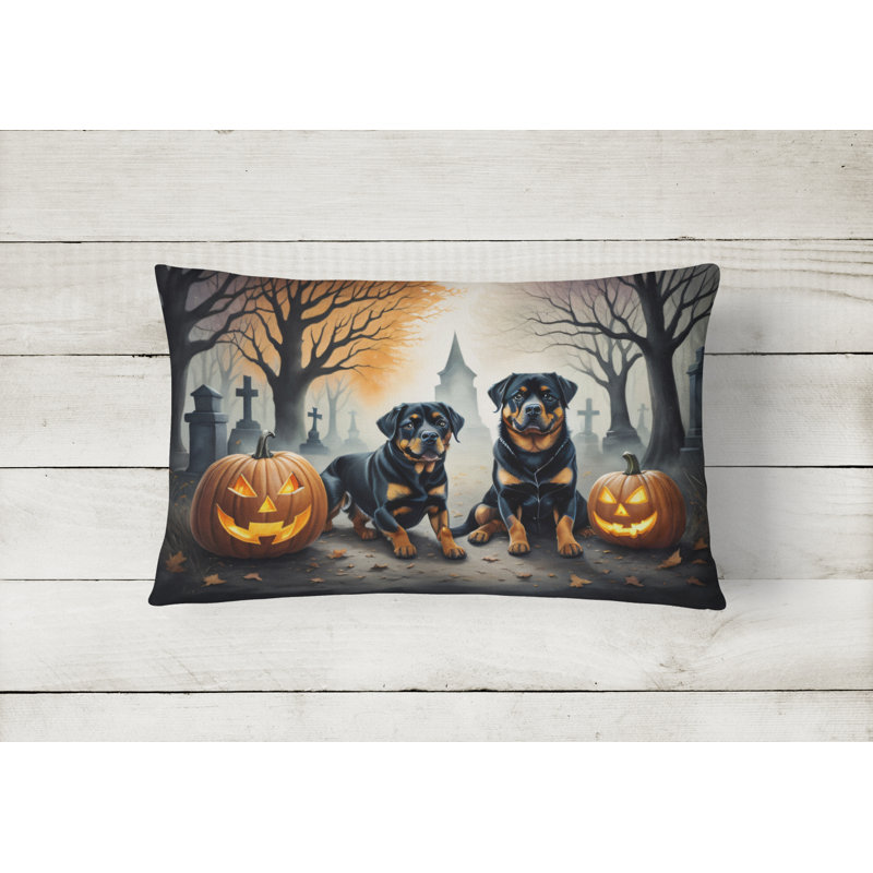 Other/No Pattern Outdoor Throw Pillow