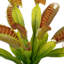 Ensemble de 3 plantes à feuillage artificiel