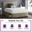 Urbank Upholstered Divan Bed-953821340-953821342-1049799201