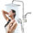 Chrome 10" Filtered Dual Shower Head System With Adjustable Extension Arm-125373101