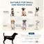 Lit pour chien de petite à moyenne taille avec coussin gris et compartiment de rangement dissimulé, coussin moelleux pour chien